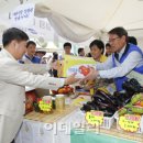 일일농산물 이데일리