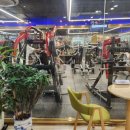 원모어짐 이미지