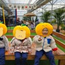 튼튼이농장 이미지