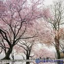 서울와이즈요양병원 이미지