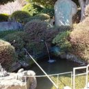 자산동167 이미지