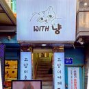 위드냥 | 구리 고양이카페 위드냥 후기｜고양이를 진짜 ‘존중’하는 공간이라 더 좋았어요