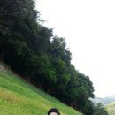 하천리-3 이미지