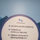 해양생태전시관 | [내돈내산]가정보육 16개월 아기랑 실내놀이 시흥 해양생태과학관 평일방문 후기