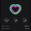 (주)모드퀘스트 | [국내여행시도] 여자 혼자 2박3일 월정사 템플스테이 및 평창&amp;정동진 여행 계획표 공유 및 후기(거의 일기)