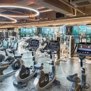 도미디 피트니스 이미지