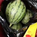 사비농장 이미지