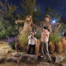 노래하는분수대 광장 이미지