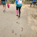 (4일차)친구들과 함께한 라오스 비엔티엔 루앙프라방 4박6일 여행 탁발식 라이스팜 꽝시폭포