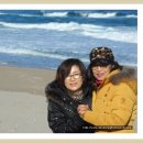 바다친구 이미지