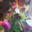 피아노숲 이미지