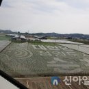 순천만 뜰 이미지