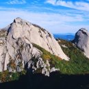 수 산 대 이미지