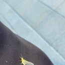 쌍다리쉼터 | 240616 이쯤되면 그냥 돌아오기 전문가!!!