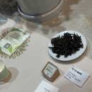 2026 Craft Tea Festival 방문 후기