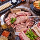 작심한돈 이미지