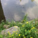 서울청사한빛어린이집 이미지