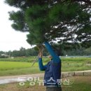 홍컨설팅 네이버블로그
