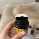 270 | 강아지 오메가3 추천 | 노령견 피부,피모관리 오메가덤 소프트 270 솔직후기(+급여 팁)