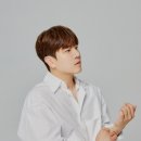 DK 이미지