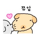 댕냥테라피 이미지