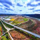 반려동물 테마파크 이미지