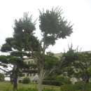 형주병원 이미지