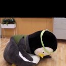 다마 이미지
