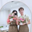 스노우폭스브랜딩컴퍼니