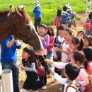 화성목장 이미지