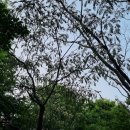 방화근린공원 관리사무소 이미지