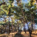 세종대왕자 태실 | 문화탐방~~세종대왕자 태실~~