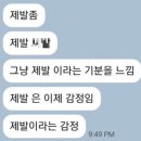 몬스터프렌치