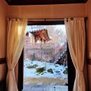 양지꽃펜션 이미지