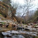 The 산수유