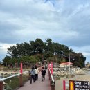 추암~증산해변 | 삼척 쏠비치 추암 촛대바위 해안 산책로 코스