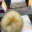 화이트헤어칼라 이미지
