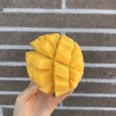 달푸르츠 이미지