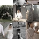 결혼 준비 / &#39;포트레스냅&#39; / 본식 서브 스냅 계약 후기 / 빈티지 스냅 , 디카 스냅 , 아이폰 스냅...