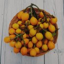 쇠소깍 민박 이미지