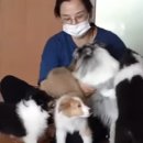 승호농장 이미지