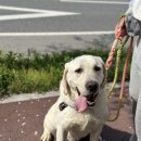 꾸밤꾸밤 이미지