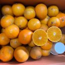 보내농장 이미지