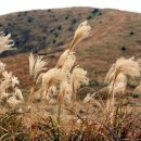 생각의 오름 이미지