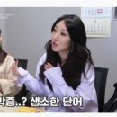 바이엘 이미지