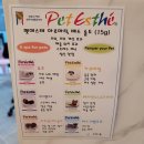 봄,강아지 Salon 이미지