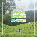 보성 여행 필수코스 보성 녹차밭 실시간 후기 6월 4일 기준