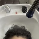 포레스타 | 산본 헤드스파 탈모 예방 도노포레스타 후기