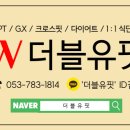 유핏 이미지