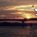 그린바다 이미지